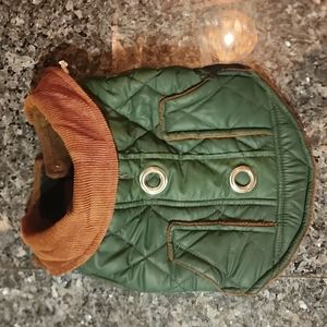 Small dog jacket.